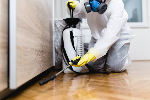 Best Emergency Pest Control  in Elyria, OH