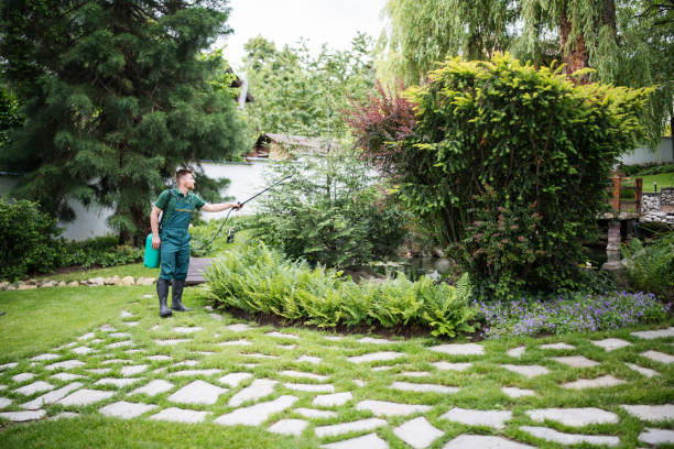 Best Best Pest Control Companies  in Elyria, OH