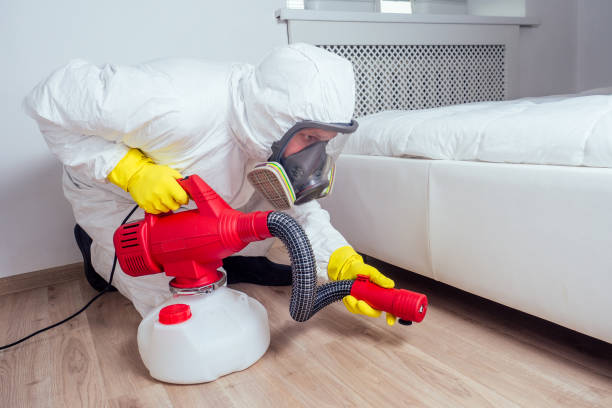 Pest Control Cost in Elyria, OH