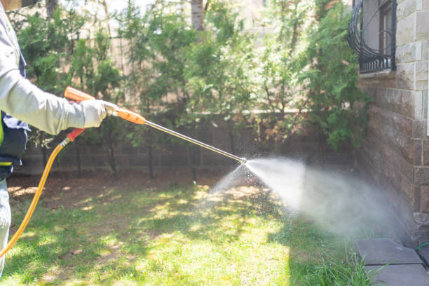 Spider Control Near Me in Elyria, OH