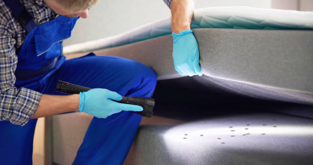 Best Exterminator Services  in Elyria, OH