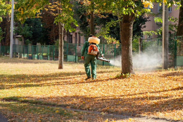 Best Pest Control Treatment  in Elyria, OH
