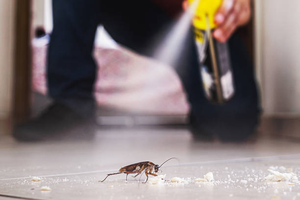 Best Pest Prevention Services  in Elyria, OH