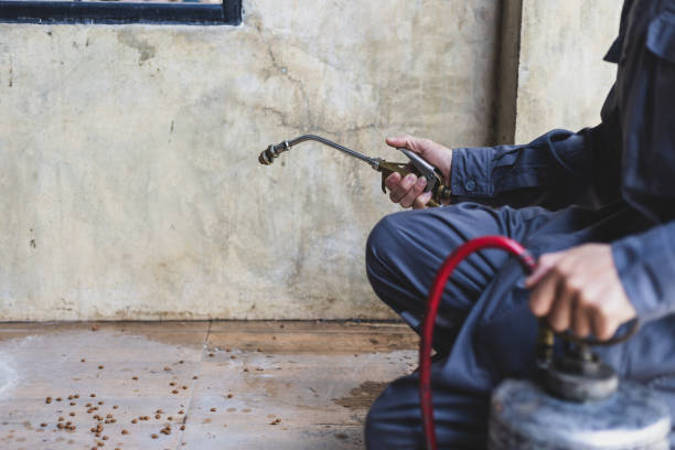 Best Mosquito Control Services  in Elyria, OH